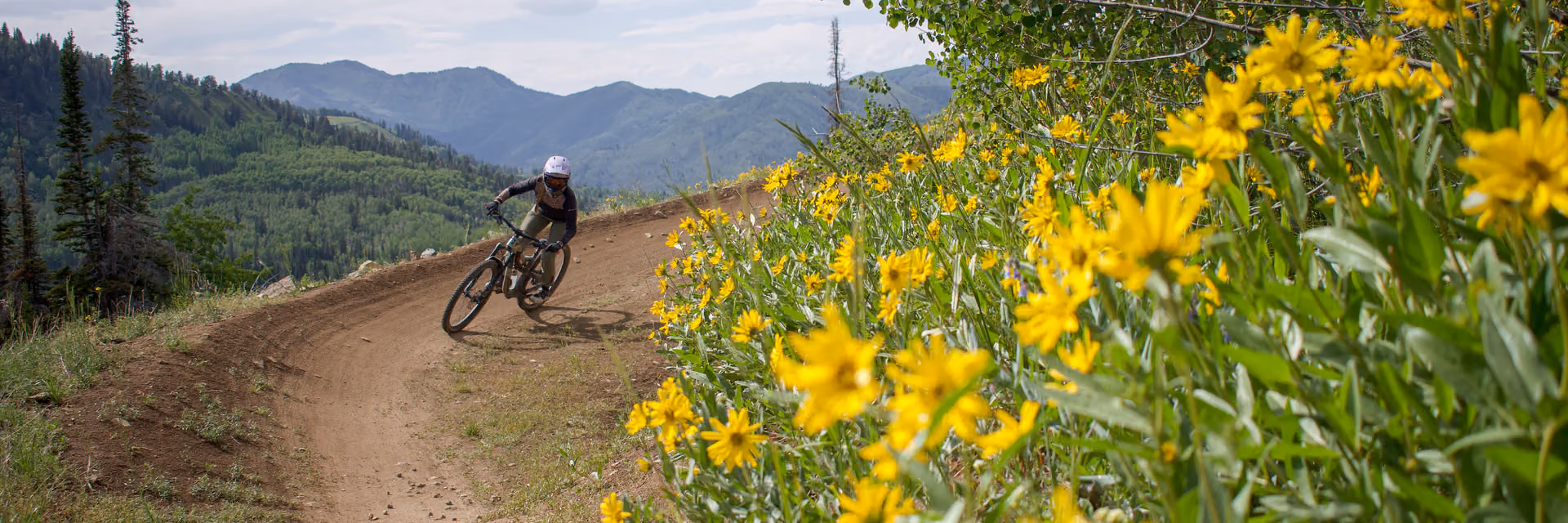 Women's Mountain Bike Ride Night
